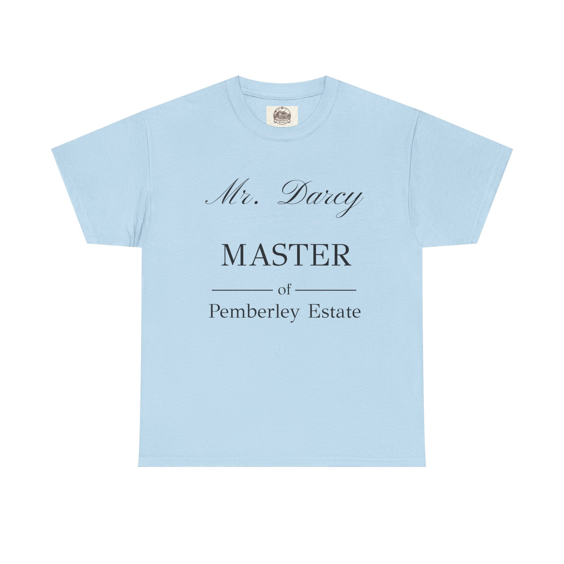 Mr Darcy Master of Pemberley Estate black text Men's t-shirt - light blue color