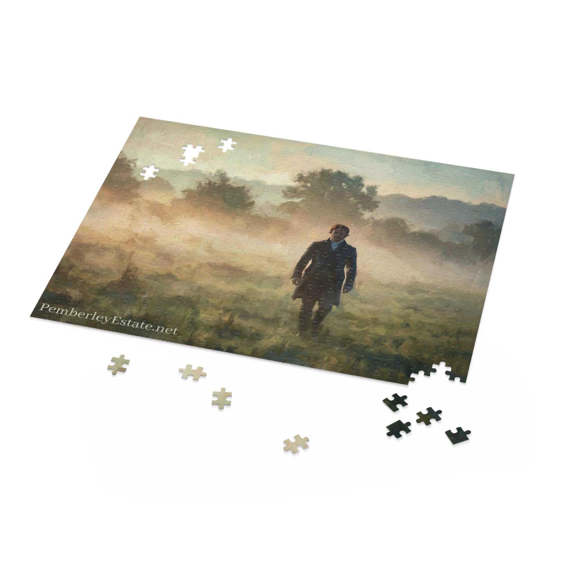 Mr. Darcy in the mist puzzle