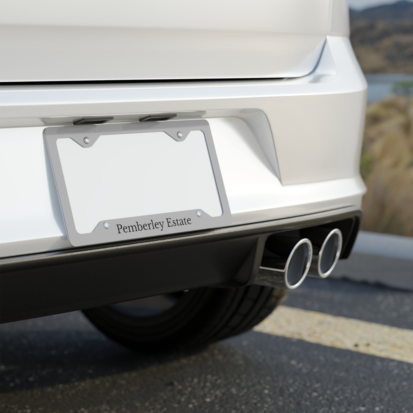Car exhaust system with a visible license plate on a road.