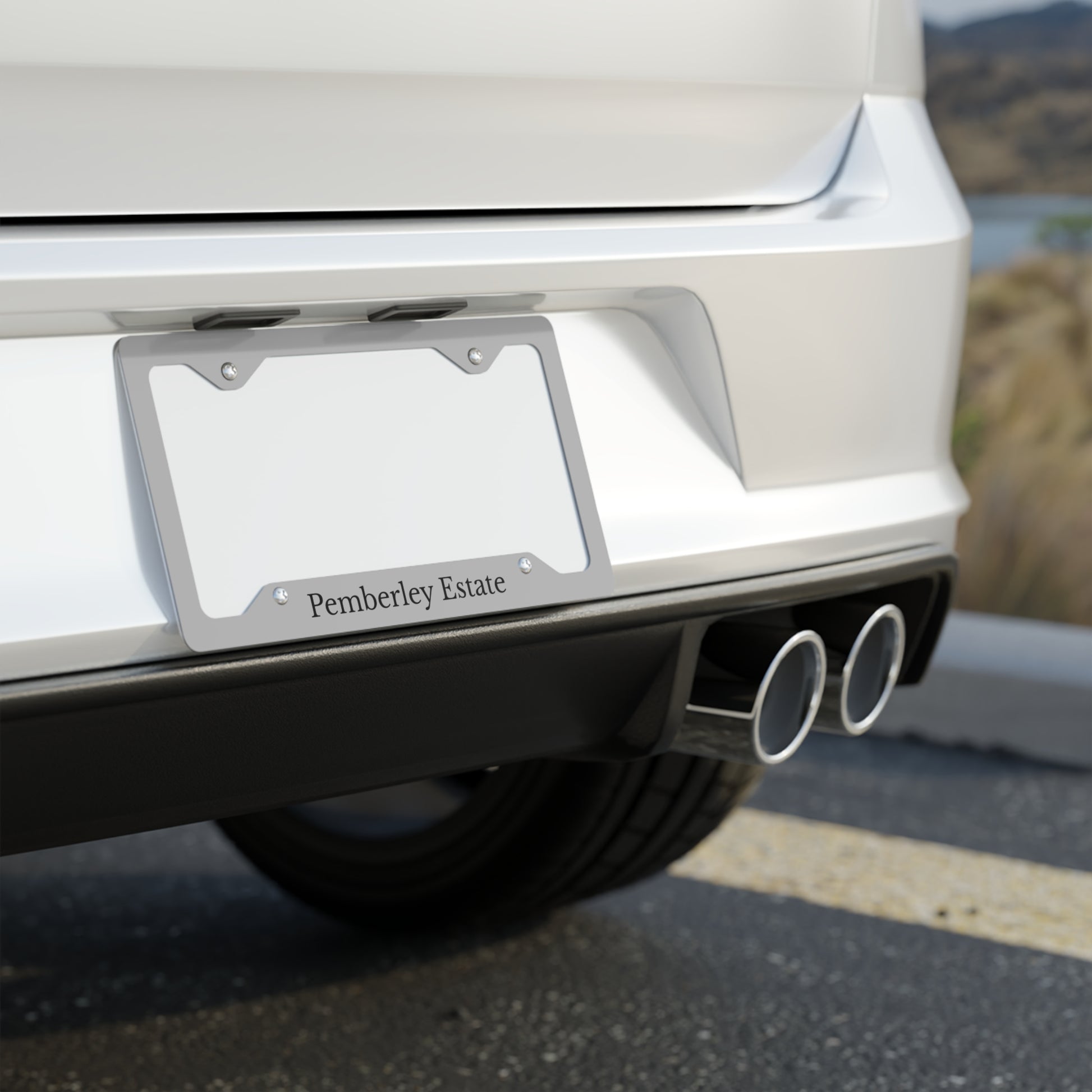 Car exhaust system with a visible license plate on a road.